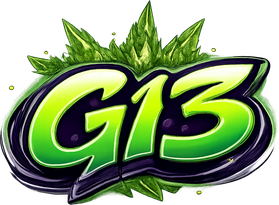 g13 লোগো